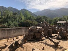 -西安秦岭野生动物园