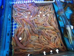 -必点海鲜·鲅鱼水饺(鞍山西道店)