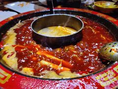 -矮板凳老火锅(宽窄巷子店)