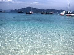 -珊瑚岛