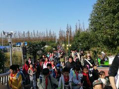 -上海长兴岛郊野公园