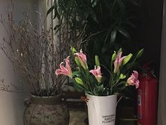 -康轩盲人按摩(上海沙龙店)
