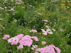 -长春公园(普阳街道)