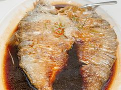 清蒸湘鱼(鲞鱼)-永丰源大酒店(人民中路店)