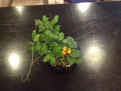 -茅庐·川粤精品私房菜(金沙遗址店)