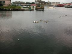 android_upload_pic-君豪蟹都·湖景·农家乐(蟹舫苑店)