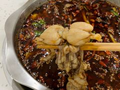 -大味美蛙鱼头(遂宁总店)