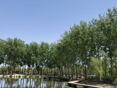 -东郊湿地公园