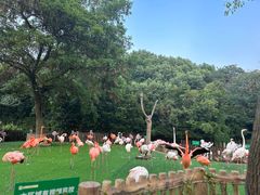 -上海野生动物园