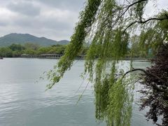 -西湖游船