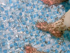 -涨巢·潮玩水疗局