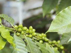 -后谷咖啡(建设巷店)