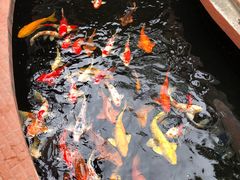 -侠成水上农庄(工业大道店)