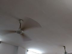 -盛兴面馆(真儒大厦店)