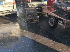 -众彩物流水产市场