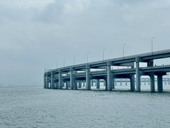 -星海湾跨海大桥