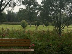 -汉长安城未央宫国家考古遗址公园