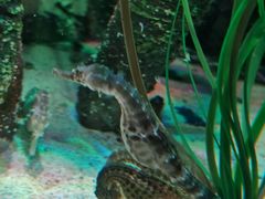 -沈阳海洋探索中心