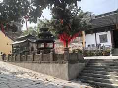 -赭山公园