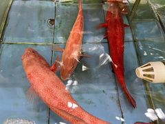 -厨房好味(国贸店)