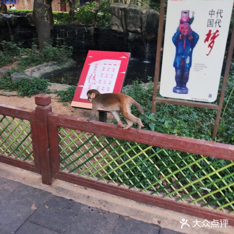 猴岛，万宁市陵水黎族自治县