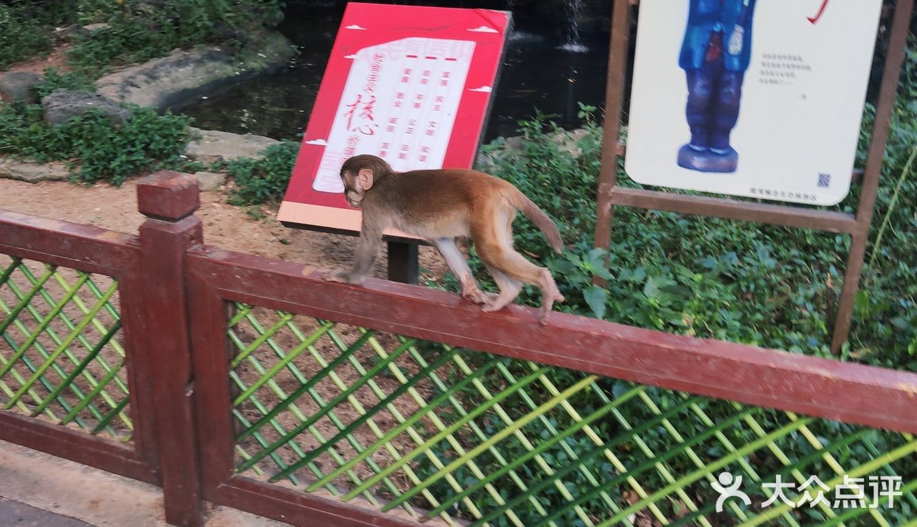 猴岛，万宁市陵水黎族自治县