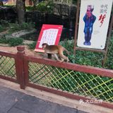 猴岛，万宁市陵水黎族自治县