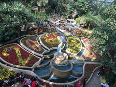-南山植物园