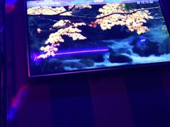 -唱吧麦颂KTV(方庄店)