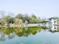 -红梅公园