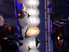 -千岛蚝高压锅生蚝·人参火锅(白云万达店)