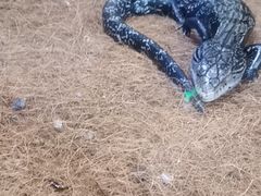 -自然博物馆新馆2楼餐厅