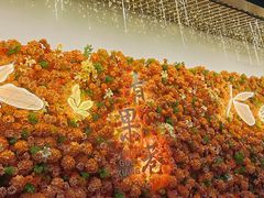 -青果巷历史文化街区