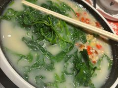 -羽鸽集·乳鸽专门店·地道顺德菜(岭南站店)
