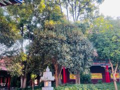 -开福禅寺