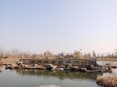 -泗洪洪泽湖湿地景区