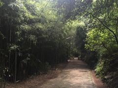 -昆明青龙峡风景区