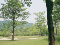 -广州市石门国家森林公园