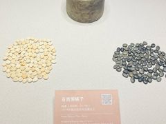 -邹城博物馆