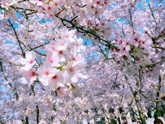 -龙美术馆西岸馆-停车场