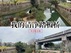 -神仙树公园