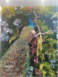 -北京炫美医疗美容