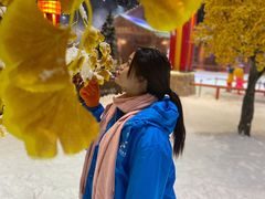 -宁波冰雪大世界(北仑区)