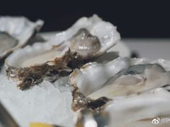 -Oyster Talks 四度蚝法餐厅