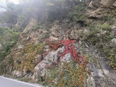 -洛阳白云山景区