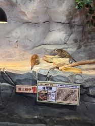 -Zoolung Zoolung动物主题公园(海信广场店)