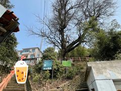 -藏龙百瀑风景区