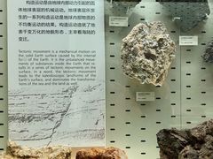 -浙江自然博物院(杭州馆)