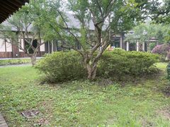 -东园小馆·早茶·淮扬小炒(宋夹城店)