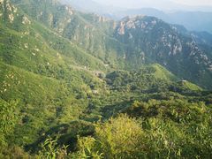 -大岭沟猕猴桃谷风景区
